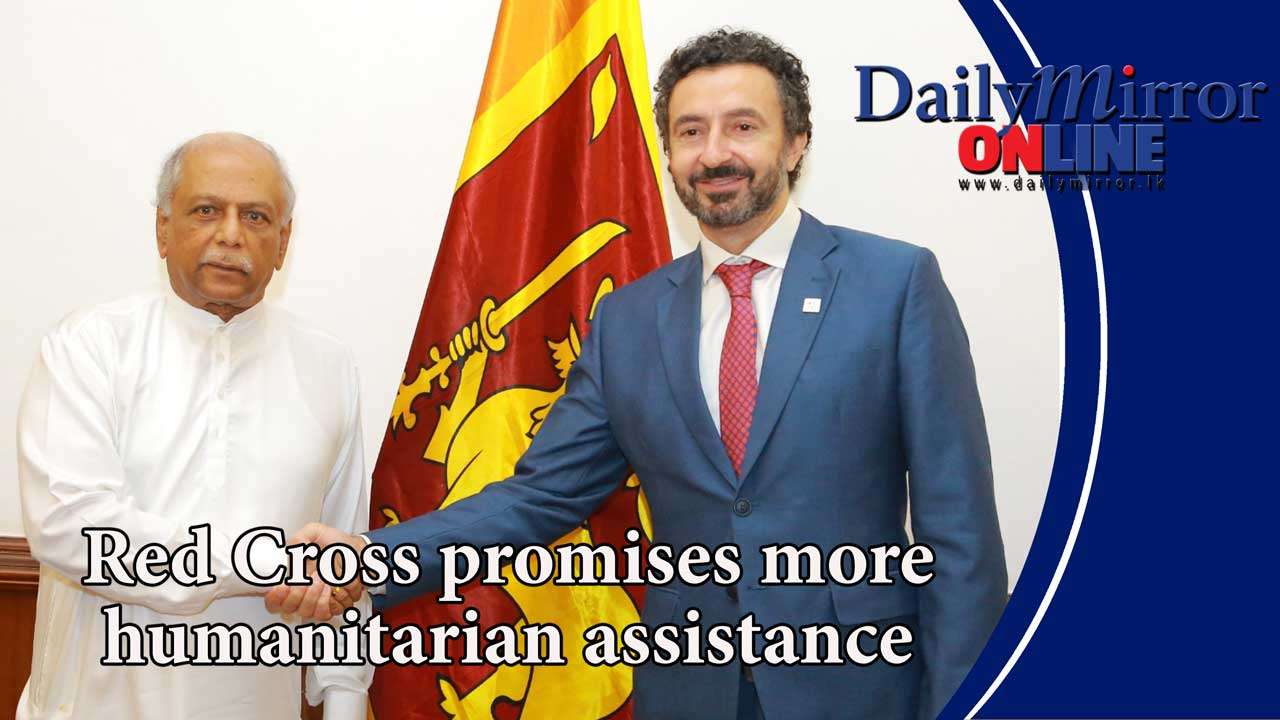 Red Cross promises more humanitarian assistance