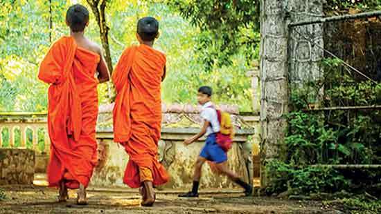 Why Are We Born  Here?  A Buddhist Explanation
