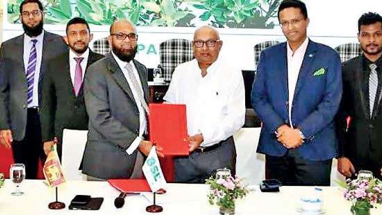 Amana Bank joins hands with Biodiversity Sri Lanka to restore Mangrove Ecosystems