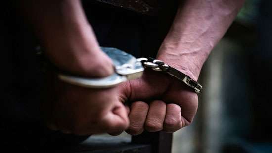 Five arrested for killing elephant calf - Breaking News - Vimarsana News