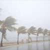 Heavy rain, strong winds forecast today