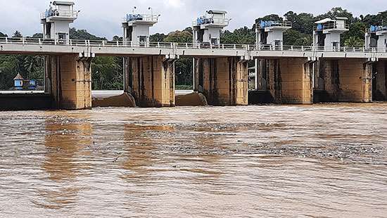 Polgolla reservoir turns murky