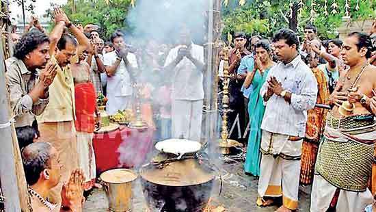 Thai Pongal: The celebration of abundance, joy and community