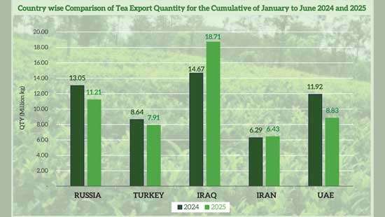 Tea industry overview (Jan - June, 2025)