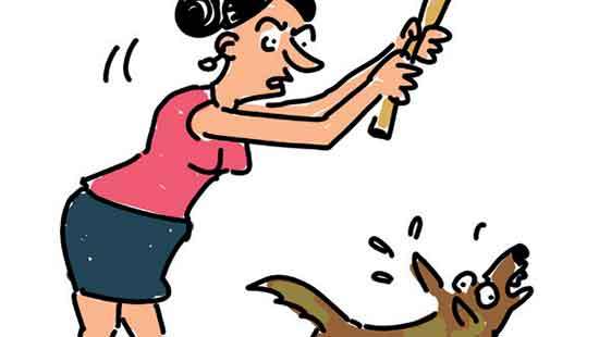 Woman who attacked stray dogs with a club arrested