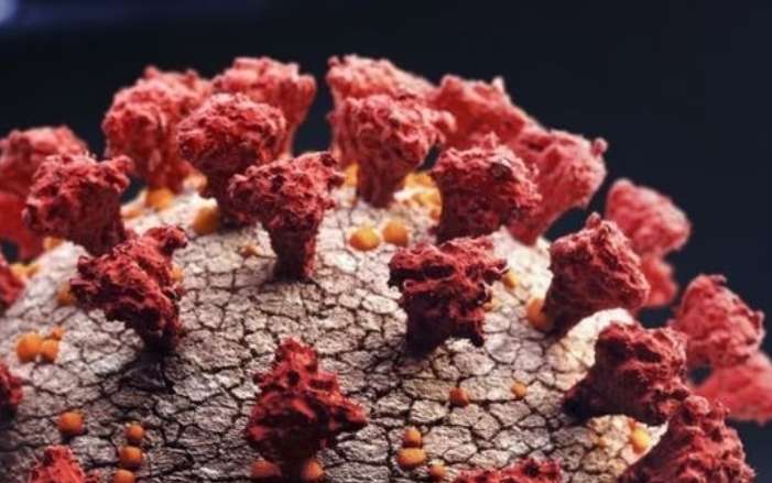 India reports first cases of new Covid variant