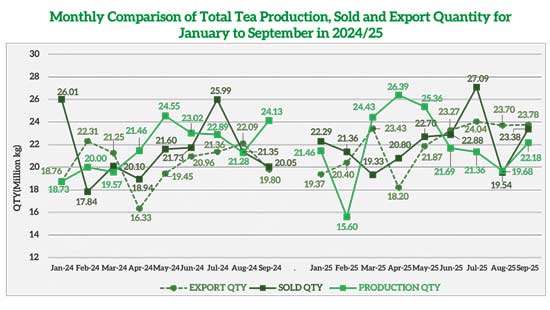 Tea industry overview: January-September 2025