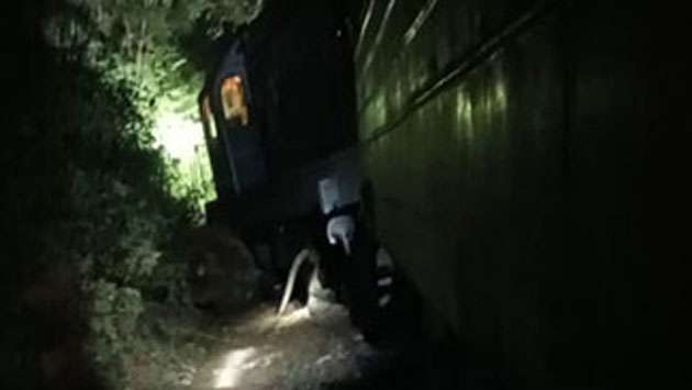 Meenagaya train collides with elephants, derails