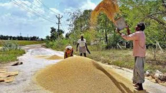 Large scale mill owners have the right to purchase paddy: Deputy Minister