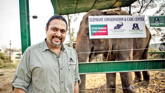 First-ever elephant hospital in India: Jumbo effort to conserve wildlife