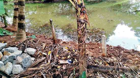 UDA owned land in Thalawathugoda UDA Minister Ranatunga under the spotlight for forceful occupation of reserved land - Expose - Vimarsana News