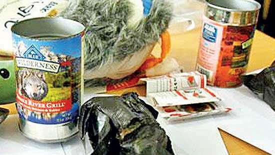 Customs seize Rs.10Mn worth Hashish in dog food cans