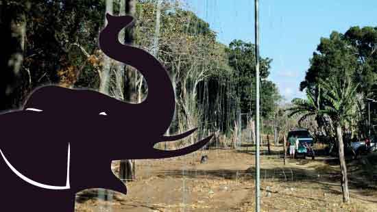 Two  simple solutions to Human-Elephant conflict