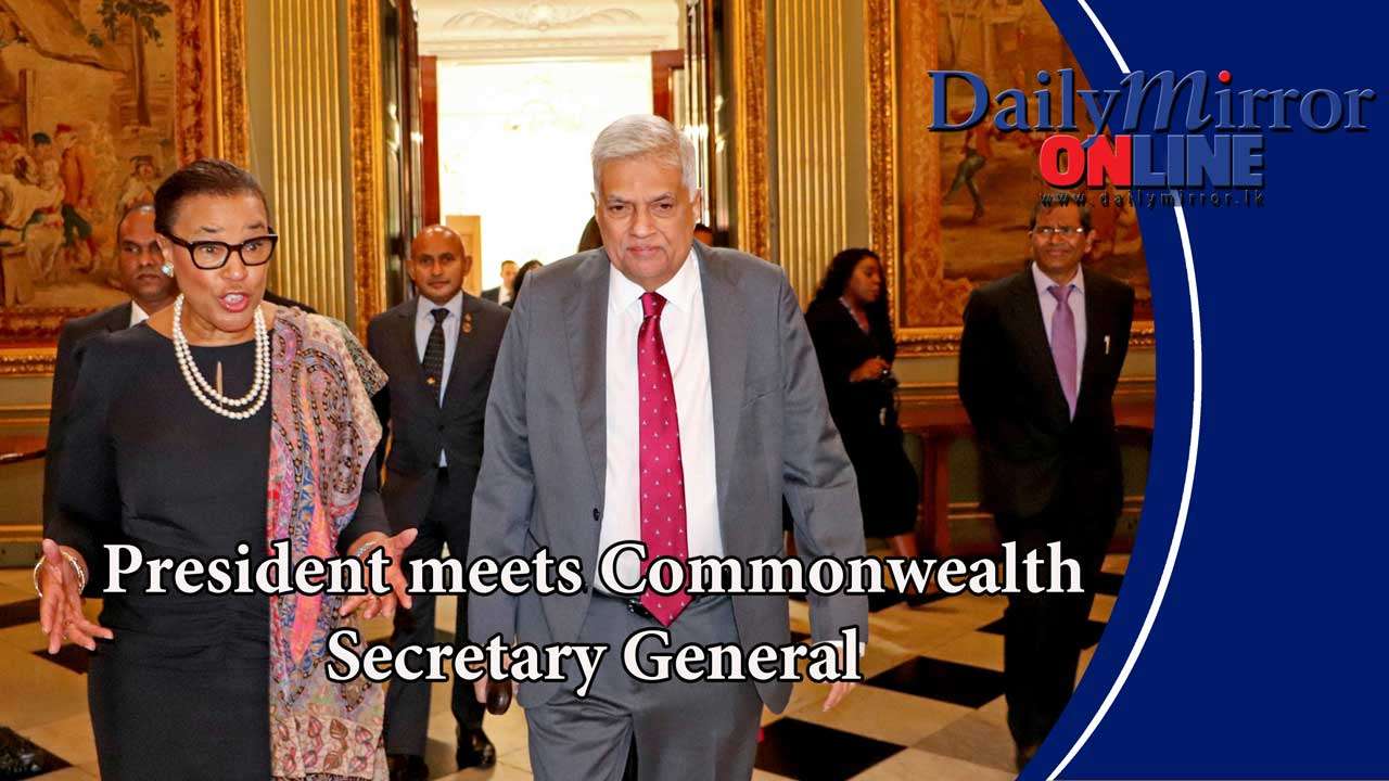 President meets Commonwealth Secretary General