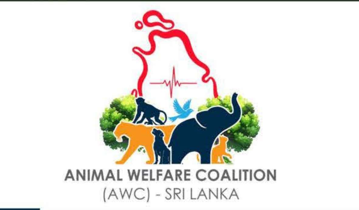 Rabies control: AWC urges Health Minister to rethink strategy
