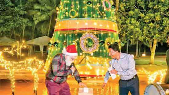 Pegasus Reef Hotel kicks off ‘Tropical Christmas’ celebrations