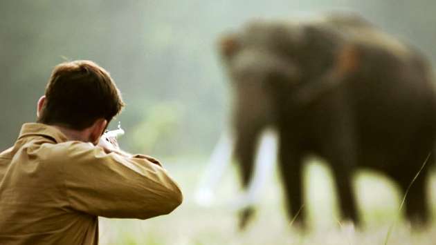 CEJ urges Defence Ministry to halt issuing guns to kill elephants