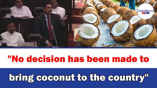 ’’No decision has been made to bring coconut to the country’’