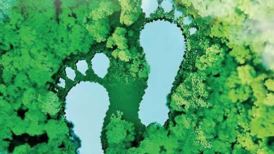 LB Finance joins PCAF to strengthen climate action in financial sector
