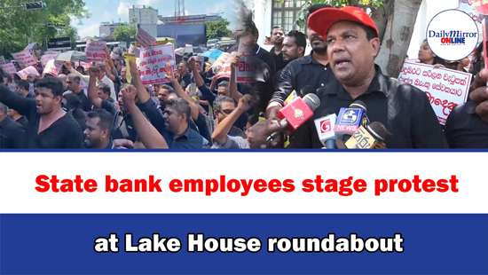 State bank employees stage protest at Lake House roundabout