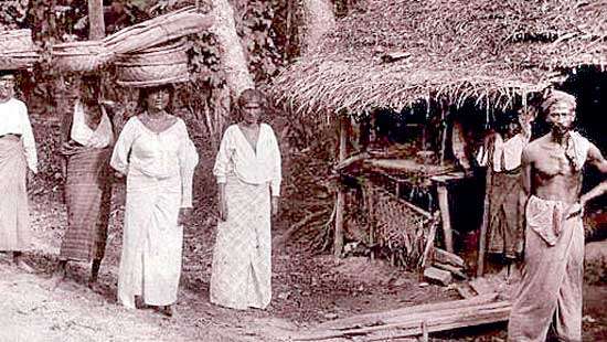 How British colonialism impeded peasant agriculture in Ceylon