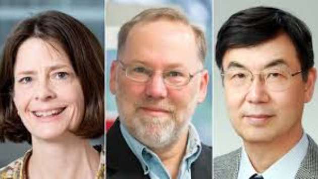 Nobel Prize in medicine goes to trio of scientists for discovering how the immune system is kept in check