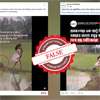 Viral child-and-porcupine video shared as Bangladesh was filmed in Sri Lanka