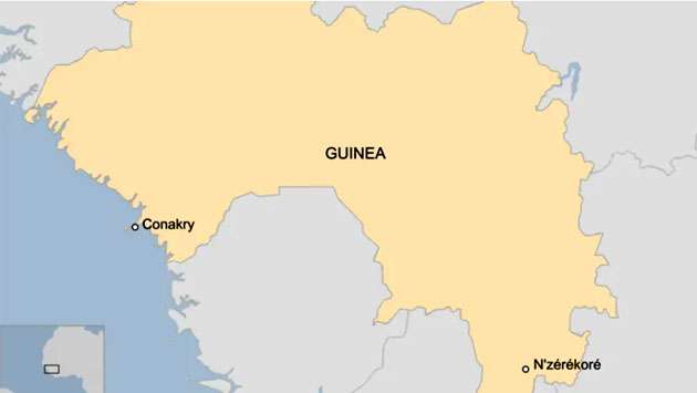 Dozens killed in crush at Guinea football match