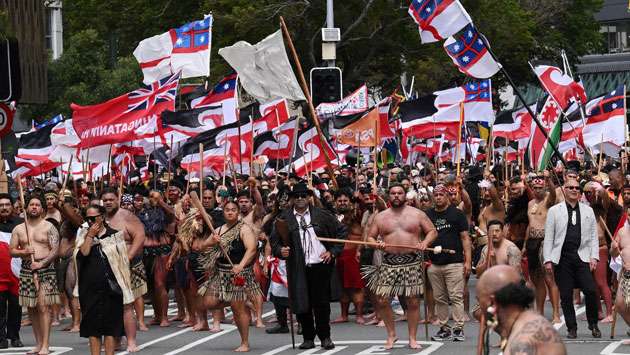 Against controversial Māori treaty bill