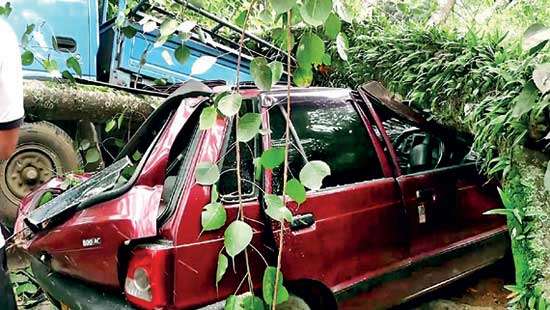 Collapse of trees cause damages to eight vehicles and injures two