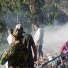 Fire destroys 10 acres of Haputale forest reserve