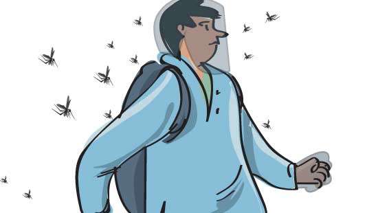 School students to get special clothing  to protect them  from dengue