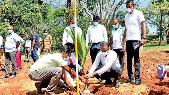 Export of coconuts and related products generated US $ 850mn in 2021: Ramesh