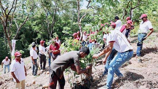 Ceylinco Life’s Green Club drives meaningful sustainability impact