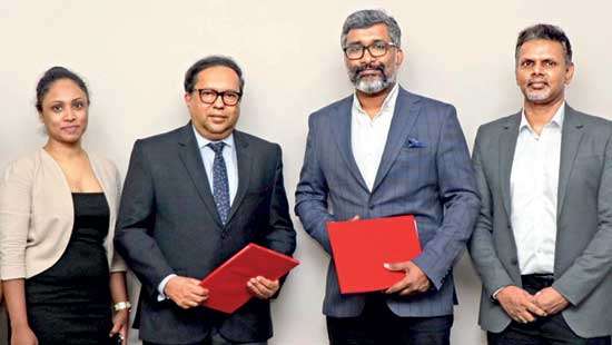 CCC partners with Academics Group to offer Miami Ad School’s Skill-Up Programmes