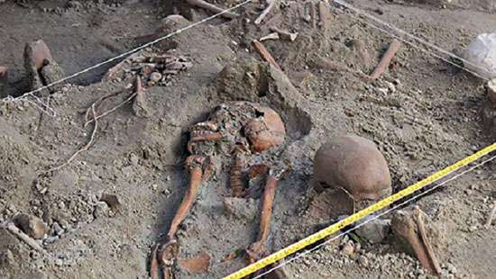 Devise comprehensive report based on carbon dating: OMP