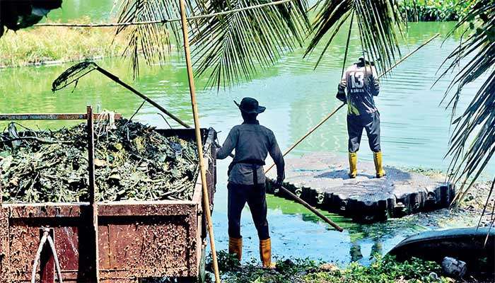 Cleanup operation at Beira on World Environment Day