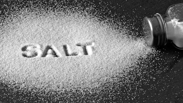Cabinet nod to import salt