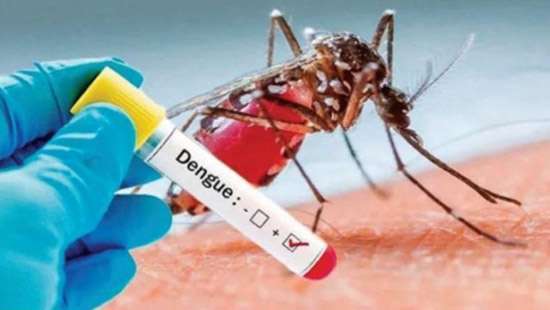 Dengue tally tops 50,000 cases