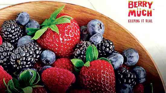 Elpitiya Plantations bets big on berries