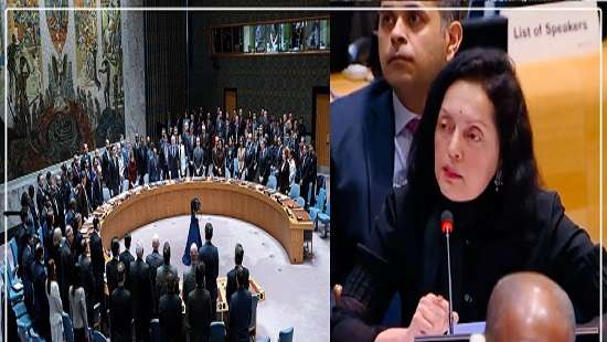 India defends its claim to permanent membership at UNSC