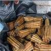 Rs. 14m Kendu leaves, beedi seized in Chilaw coast guard raid