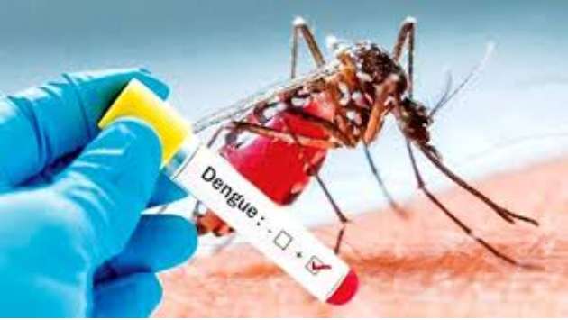 Nearly 20,000 Dengue cases reported this year