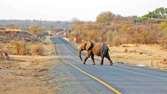 WNPS Monthly Lecture LIVING WITH THE WORLD’S LARGEST ELEPHANT POPULATION