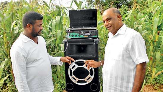 Local Engineer presents solution to Human-Elephant conflict