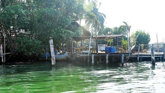 Rajina Island - Scrap hotel project  if ‘no‘ to playground:  Residents