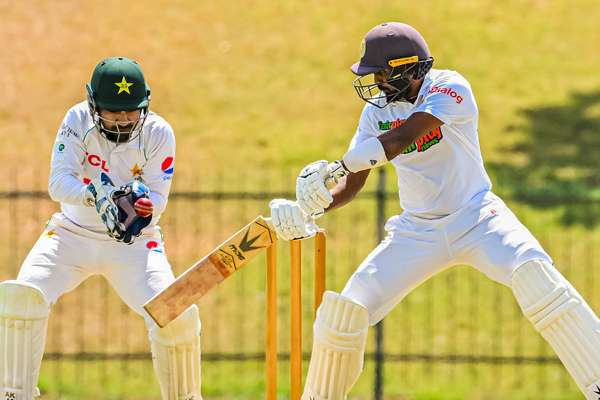 Oshada cracks ton, Pakistan make bold reply