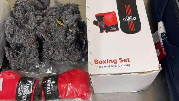 73-year-old Indian national nabbed with Kush at BIA