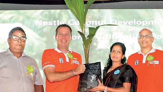 Nestlé Coconut Development Plan supports 500 more rural families in Northern Province