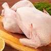 Chicken prices down by Rs. 100 today